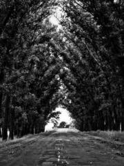 Become a big shot in