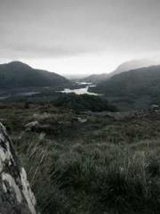 lt;lt;The Trash Husb