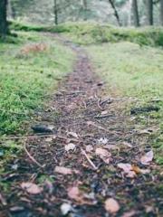 Become a big shot in