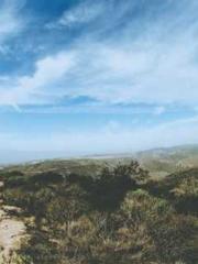 Ling Hao Qin Yuxin R