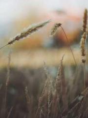 Jiang Mingzhu Zhou L