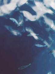 A Second Marriage Mo