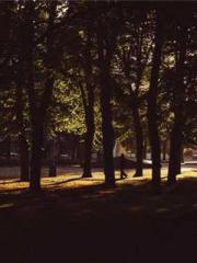 The Legend of the Dr