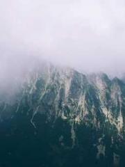 The Wife of My Heart