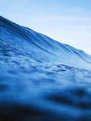 lt;The Dragon Discar