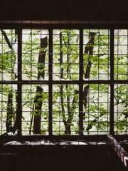 Grave Robbing: Openi