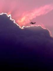 Jiang Mingzhu Zhou L