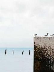 Wine, sex, money and